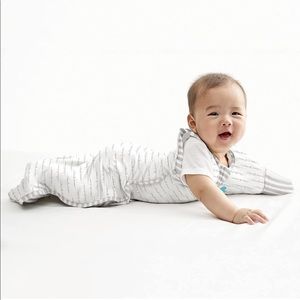 Love To Dream Swaddle UP Transition Bag, Dreamer, Medium 13-19 lbs Zip-Off Wings